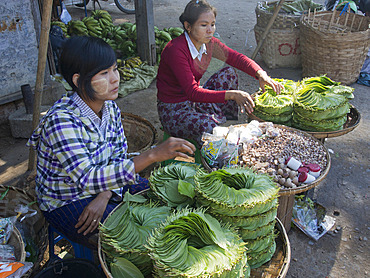 Betel leaves for sale to make paan, Mandalay, Myanmar (Burma), Asia