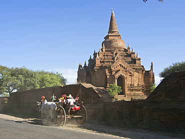 Horse and cart by Buddhist temples of Bagan, Myanmar (Burma), Asia