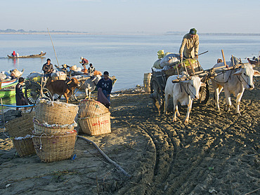 Boatmen by the Irrawaddy River, Myanmar (Burma), Asia