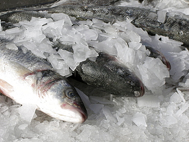 Uk fresh fish for sale at a stall at broadway market in east london