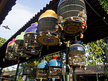 Bird market in Yogyakarta, Indonesia, Southeast Asia, Asia