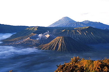 Volcano, indonesia. East java. Mount bromo volvanic national park