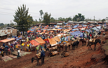 Market day near Jimma, Ethiopia, Africa