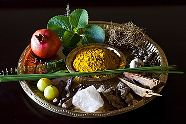 Different Indian spices on display at Swaswara, Karnataka, India, Asia