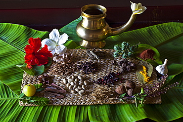 Different Indian spices on display at Swaswara, Karnataka, India, Asia