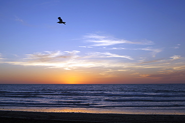 Sunset over La Jolla Coast, California, United States of America, North America