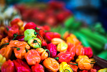 Brixton Market, London, England, United Kingdom, Europe