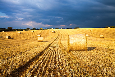 Baled field, Gloucestershire, England, United Kingdom, Europe