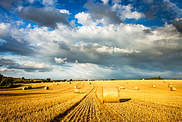 Baled field, Gloucestershire, England, United Kingdom, Europe