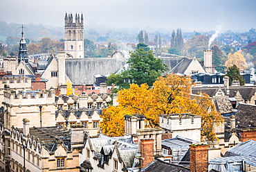 Magdalen College in autumn, Oxford, Oxfordshire, England, United Kingdom, Europe