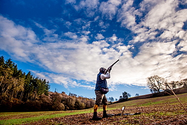 Gun shooting on a pheasant shoot, United Kingdom, Europe