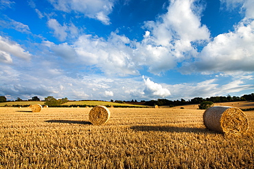 Near Broadway, Worcestershire, England, United Kingdom, Europe