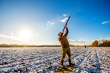 Landscape image of a gun on a frosty morning aiming at pheasants flying overhead, United Kingdom, Europe