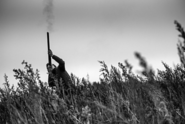 Black and white image of a gun firing at a pheasant flying overhead, United Kingdom, Europe