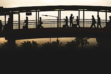 Silhouette of travellers with suitcases over a bridge with palm trees in Hong Kong