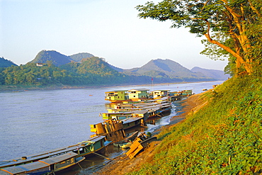 Looking North Up Mekong River, Boats Moored At Luang Prabang, Northern Laos 