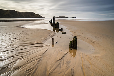 Low tide, sunset, Rhossilli Bay, Gower, South Wales, United Kingdom, Europe