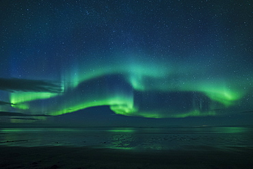 Aurora borealis (Northern Lights) reflected in ocean, North Snaefellsnes, Iceland, Polar Regions