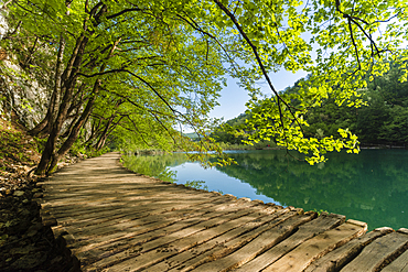 Boardwalk next to lake, Plitvice National Park, UNESCO World Heritage Site, Croatia, Europe