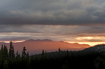 Evening light on mountain peaks, view from Hurricane Ridge, Olympic National Park, UNESCO World Heritage Site, Washington State, United States of America, North America