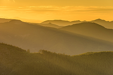 Mountain peaks and forest at sunset, Washington State, United States of America, North America