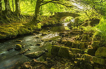 Stream and Robber's Bridge, Exmoor, Somerset, England, United Kingdom, Europe