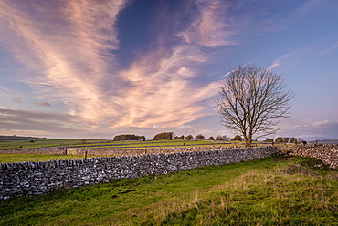 Stone walls and fields at sunset in autumn, Sheldon, Peak District National Park, Derbyshire, England, United Kingdom, Europe