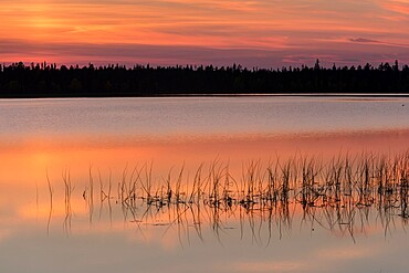 Lake Toras-Sieppi at sunset, Torassieppi, Muonio, Lapland, Finland, Europe