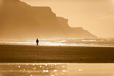 Person walking along beach in the evening sunlight, Rhossili, Gower Peninsula, Swansea, Wales, United Kingdom, Europe