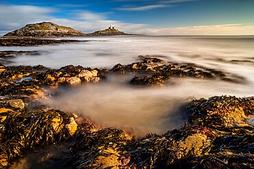 Tidal rock pools and Mumbles Lighthouse, Bracelet Bay, Mumbles Head, Gower Peninsula, Swansea, Wales, United Kingdom, Europe