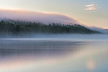 Mist over lake and forest at sunrise in autumn, Lake Toras-Sieppi, Muonio, Lapland, Finland, Europe