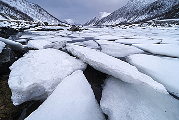 Ice blocks in Sifjordbotn, Senja, Troms og Finnmark, Norway, Scandinavia, Europe