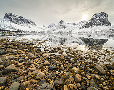 Pebbles and mountain reflections in fjord, Senja, Troms og Finnmark, Norway, Scandinavia, Europe