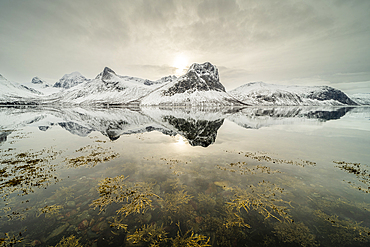 Mountain reflections in fjord, Senja, Troms og Finnmark, Norway, Scandinavia, Europe