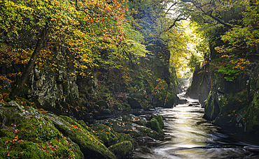 Fairy Glen, Betws y Coed, Conwy, Snowdonia, Wales, United Kingdom, Europe