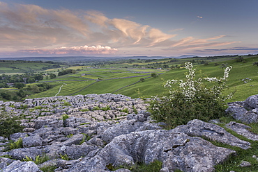 View of limestone pavement, Malham Cove, Malham, Yorkshire Dales National Park, North Yorkshire, England, United Kingdom, Europe