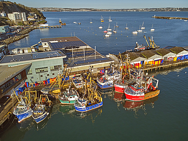 The fishing port at Brixham, one of Britain's busiest fishing ports, in Torbay, Devon, Great Britain.