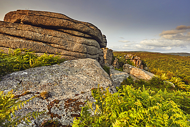 A granite rock outcrop in evening sunlight, on the summit of Bench Tor, near Holne, Dartmoor National Park, Devon, Great Britain.
