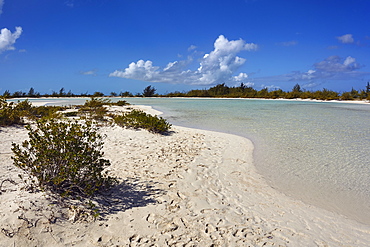 A sand bar on Water Cay, off the northern tip of Providenciales, Turks and Caicos, in the Caribbean, West Indies, Central America