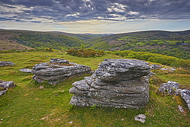 A massive granite boulder on Bench Tor, one of the classic features of Dartmoor National Park's landscape, Devon, England, United Kingdom, Europe