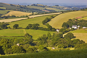 Mid-Devon agricultural countryside in early summer, seen from the prehistoric Cadbury Castle, near Tiverton, Devon, England, United Kingdom, Europe