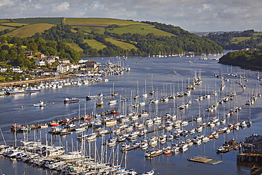 The beautiful south coast of Devon, the estuary of the River Dart at Dartmouth, seen from Kingswear, Devon, England, United Kingdom, Europe