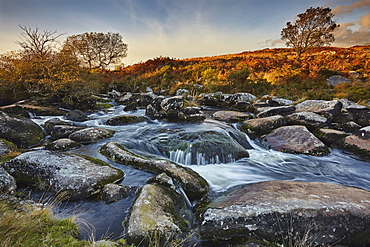 A moorland stream on rugged moors, the upper reaches of the River Teign, near Chagford, Dartmoor National Park, Devon, England, United Kingdom, Europe