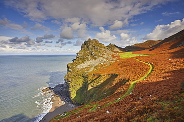 An autumn view of the rugged coastline at the Valley of Rocks, Exmoor National Park, Devon, England, United Kingdom, Europe