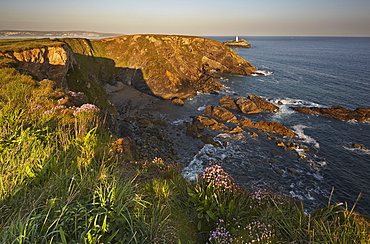 The cliffs of Godrevy Point, with Godrevey Island and Lighthouse beyond, on Cornwall's Atlantic coast, near Hayle, west Cornwall, England, United Kingdom, Europe