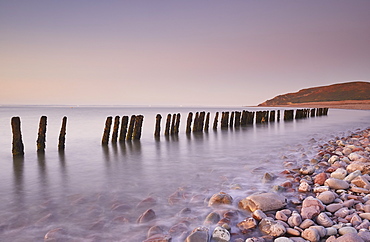 A dusk view of rotting sea defences on the pebble beach at Porlock Weir, near Porlock, in Exmoor National Park, Somerset, England, United Kingdom, Europe