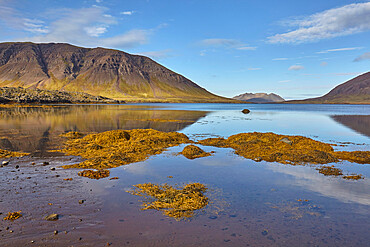 Fjord and mountain scenery around the Berserkjahraun lava field, near Skykkisholmur, Snaefellsnes peninsula, western Iceland, Polar Regions