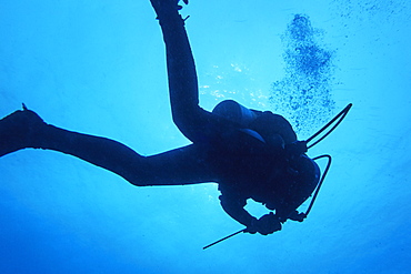 Divers at Veligandu East, a coral reef at Rasdhoo Atoll, Ari atoll, Maldives, Indian Ocean, Asia