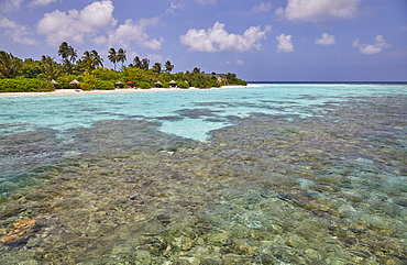 A tropical island fringing reef, just offshore from Havodda island, Gaafu Dhaalu atoll, in The Maldives, Indian Ocean, Asia