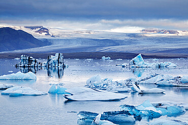 Ice floes in the lagoon at Jokulsarlon, looking towards the Vatnajokull icecap, Vatnajokull National Park, south coast Iceland, Polar Regions